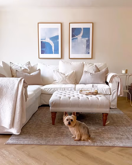 Farrow and Ball Dimity living room interior idea