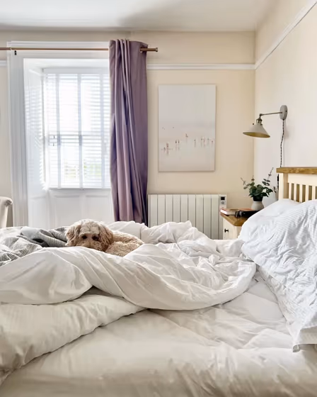 Farrow and Ball Dimity bedroom color review