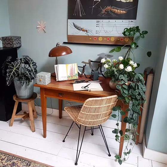 Farrow and Ball Green Blue home office