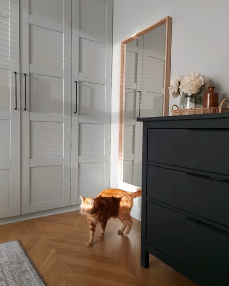 Farrow and Ball Skylight 205 painted cabinets