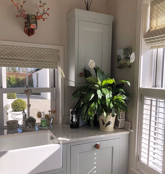 Farrow and Ball Skylight 205 kitchen cabinets