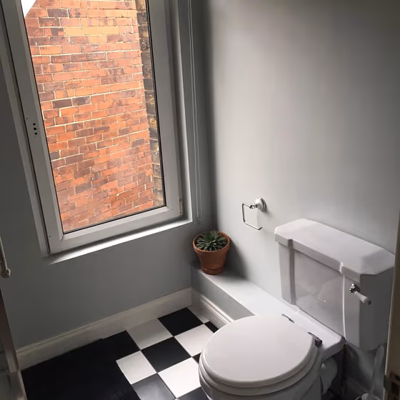 Farrow and Ball Skylight 205 bathroom