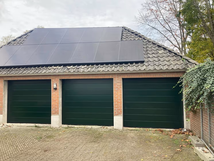 Fir green RAL 6009 garage door