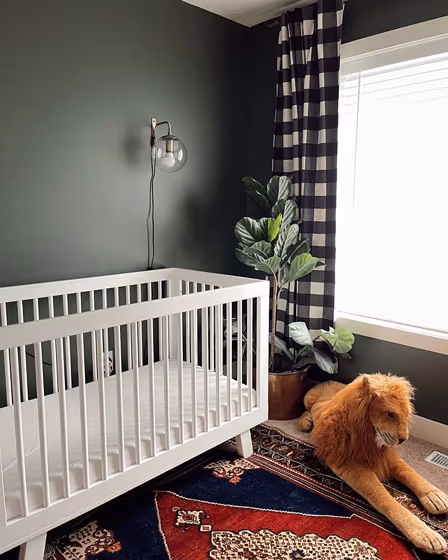 Sw Forestwood Review