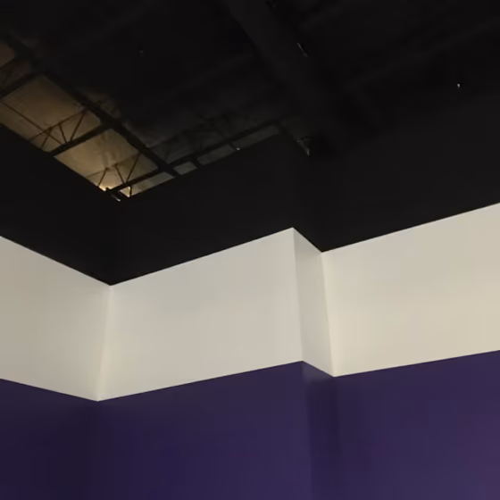 SW Fully Purple wall paint