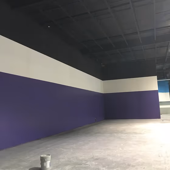 Sherwin Williams Fully Purple wall paint