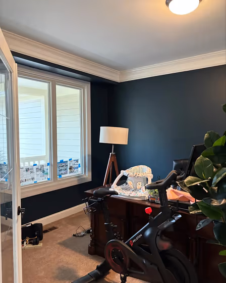 Sherwin Williams Gale Force home office review