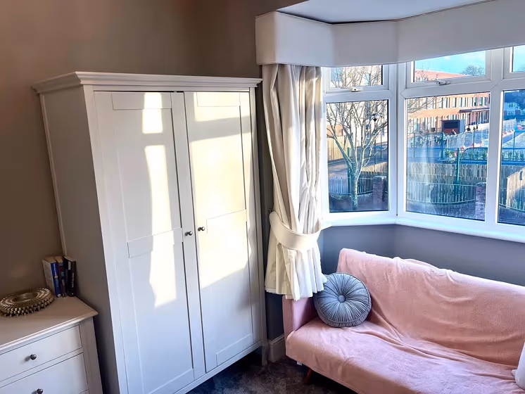 Dulux Goosewing wall paint color