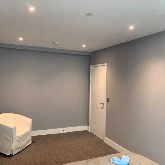 Dulux Goosewing wall paint picture