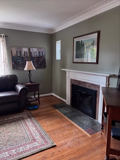 SW Green Earth living room color