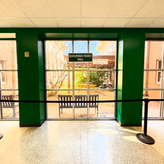 Sherwin Williams Greenbelt wall paint 