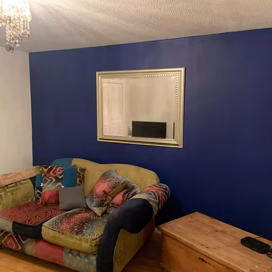 Dulux Honest Indigo living room accent wall