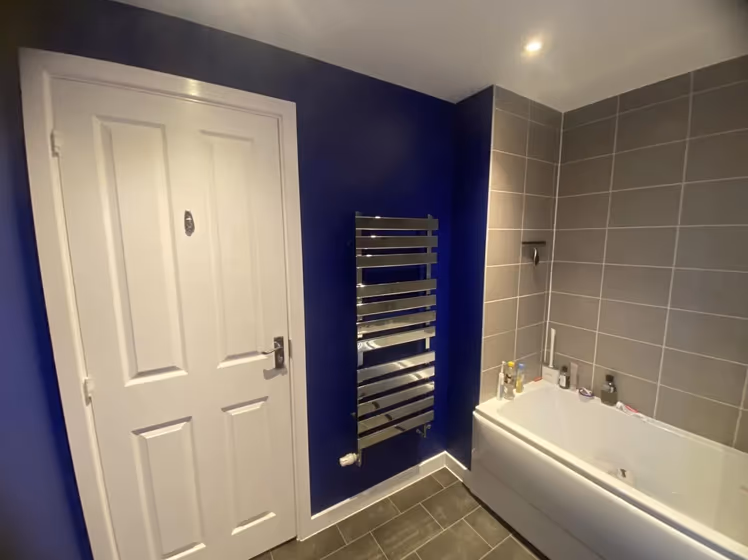 Dulux Honest Indigo bathroom paint