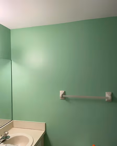 SW 6723 bathroom color