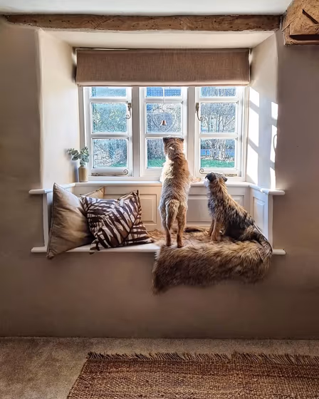 Farrow and Ball Jitney cozy living room interior idea