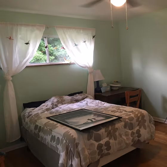 Jocular Green Bedroom