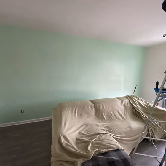 Sw Jocular Green Wall Paint