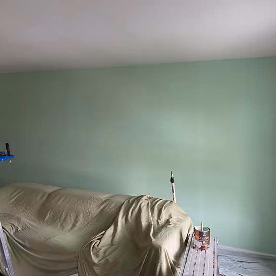 Sw Jocular Green Wall Paint