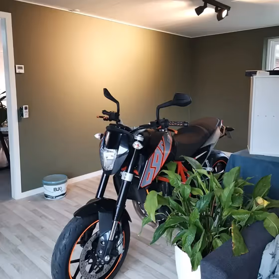 Jotun Natural Green wall paint review