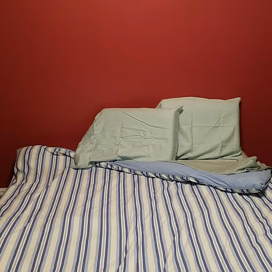 Sherwin Williams Kirsch Red bedroom paint