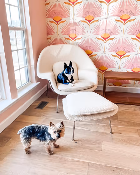 Sherwin Williams Koral Kicks Living Room