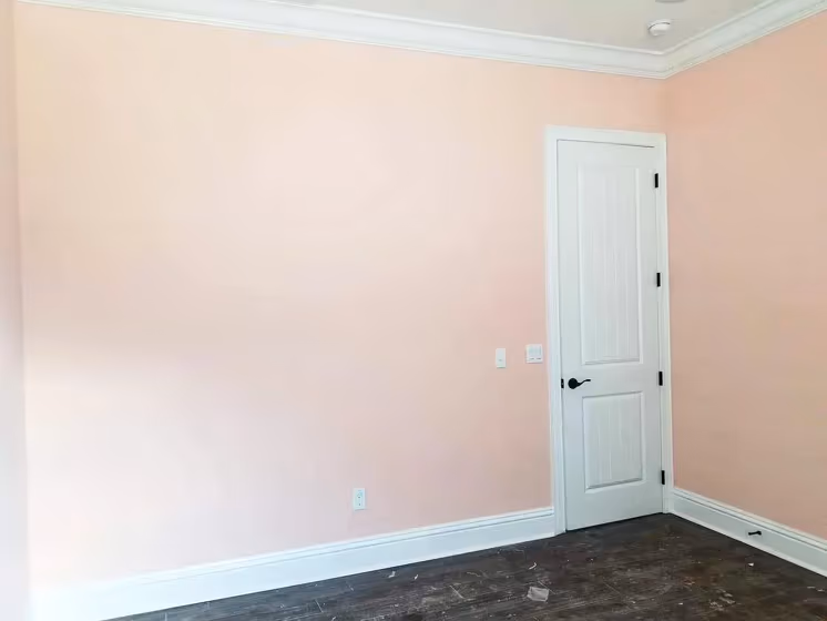 Sw Koral Kicks Wall Paint