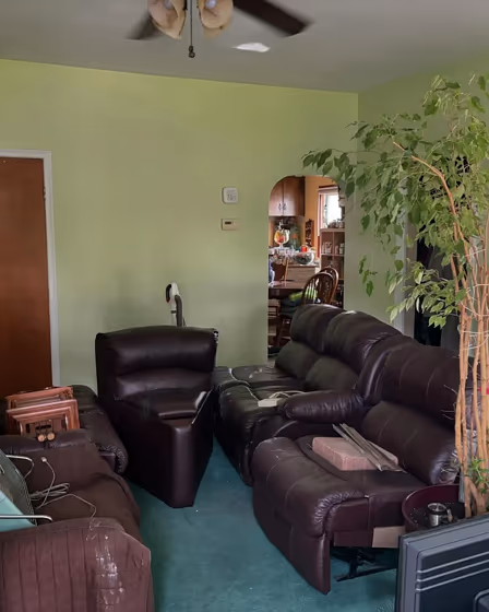 SW Lime Granita living room color