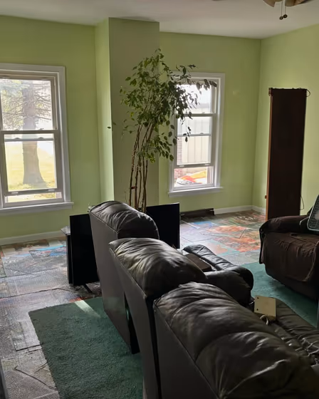 SW Lime Granita living room review