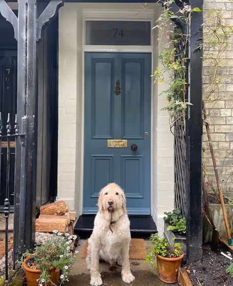 Little Greene Etruria 326 front door