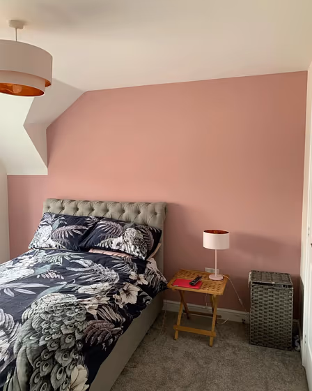 Little Greene Hellebore 275 bedroom accent wall