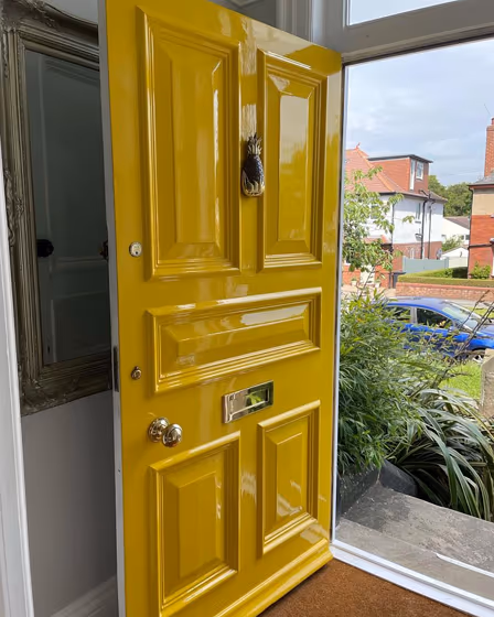 Little Greene Mister David 47 door