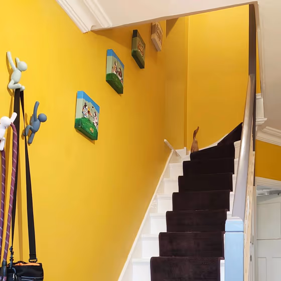 Little Greene Mister David 47 stairs hallway