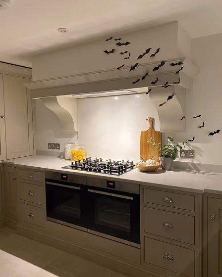 Slaked Lime - Dark kitchen cabinets