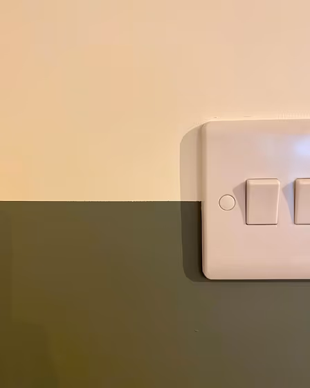 Little Greene Livid 263 wall paint