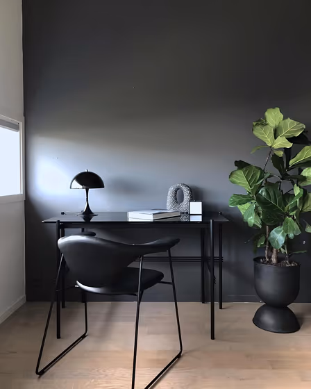 Jotun 9913 home office color