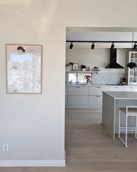 Jotun Mist living room color paint