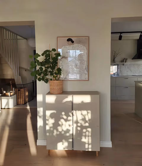 Jotun Mist living room color review