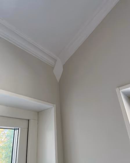 Jotun Mist wall paint review