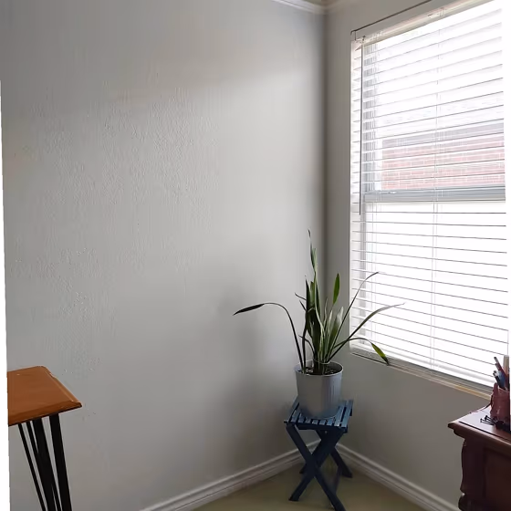 Sherwin Williams Nonchalant White wall paint