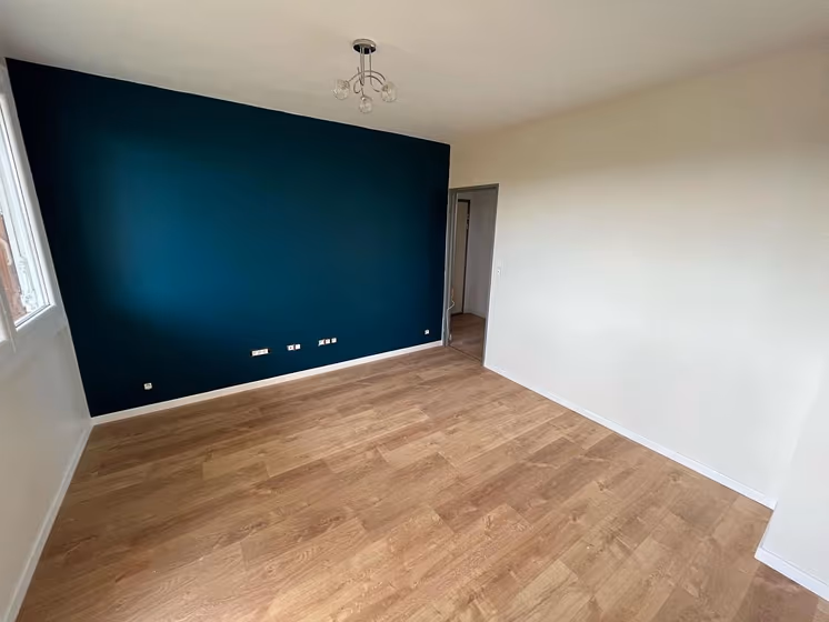 Ocean blue RAL 5020 review accent wall