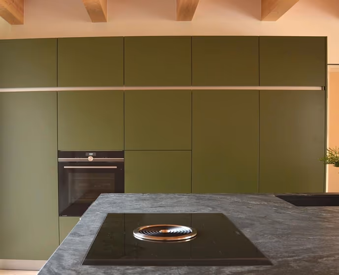 RAL Classic Olive green RAL 6003 kitchen