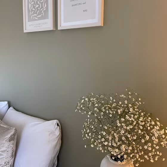 Dulux 70YY 43/113 cozy bedroom color paint