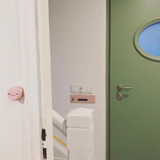 RAL Classic Pale Green RAL 6021 front door