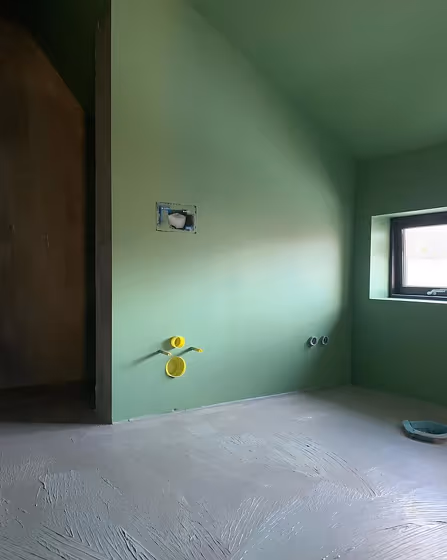 Home renovation wall paint RAL6021 review