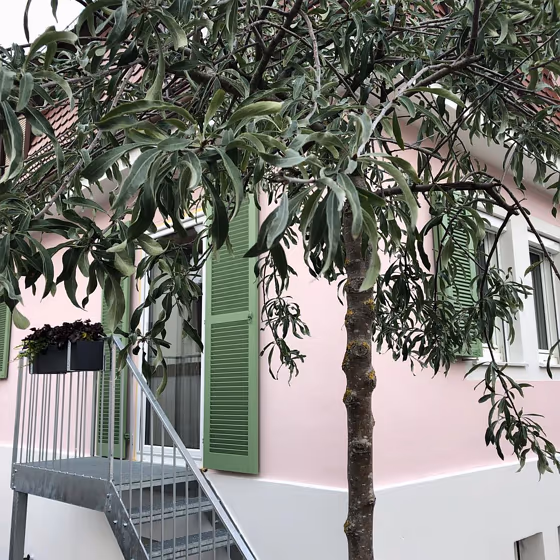 RAL Classic Pale Green RAL 6021 window shutters blind exterior