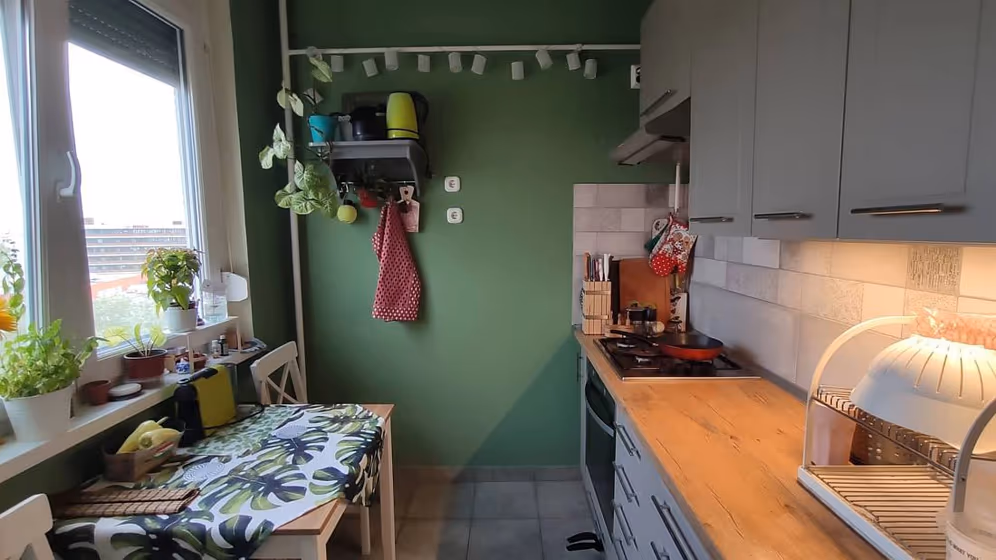 RAL Classic Pale Green RAL 6021 kitchen