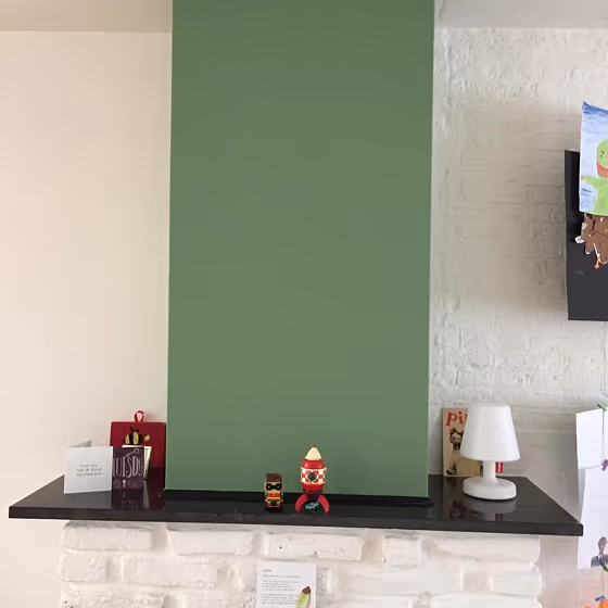 RAL Classic Pale Green RAL 6021 living room fireplace