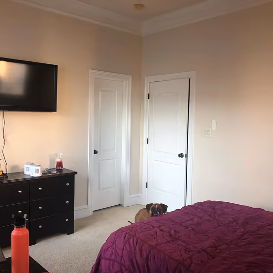 Sherwin Williams Patience Bedroom