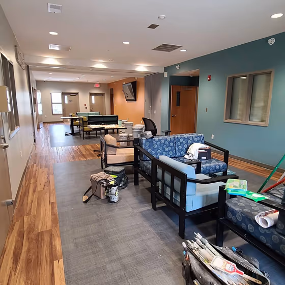 Sw peacock plume living room