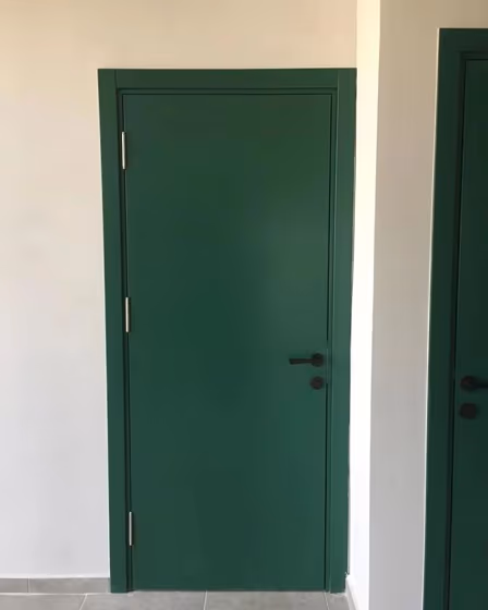 RAL Classic Pine green RAL 6028 door